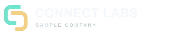 가상 회사 CONNECT LABS 로고